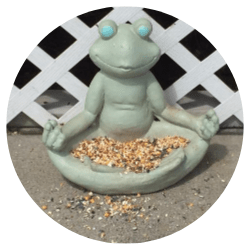 Yoga Frog Bird Feeder