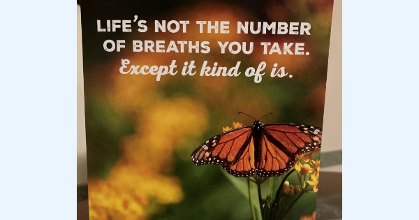 Life's Not the Number of Breaths You Take. Except it kind of is.